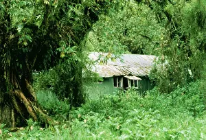 Volcan: The Mountain Gorilla Story - Diane Fossey's house