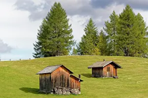 Cabin: Mountain huts with autumnal Larches (Larix), Rotwandwiesen