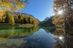 Albula: Mountain lake with larch trees in autumn, Preda