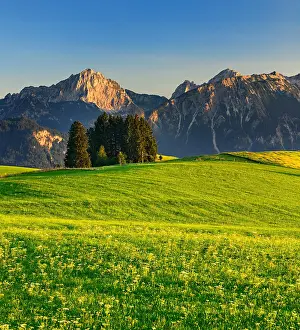 Ostallgaeu: Mountain landscape, green meadows and mountains