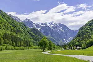Slovenia: Mountain landscape, road through green meadows in