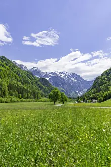 Slovenia: Mountain landscape, road through green meadows in