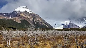 Vine: Mountain landscape with snow-covered peaks and a cloud cover over thorny bushes