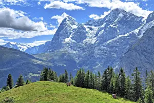 Bern: Mountain meadow in front of the Eiger and Mnnch