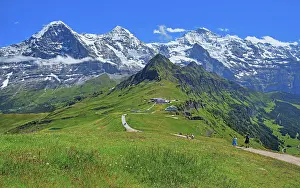 Bern: Mountain meadow and hiking trail on the Mannlichen