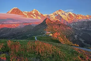 Eiger: Mountain meadow on the Mannlichen with the triumvirate