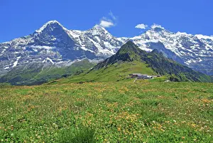 Bern: Mountain meadow on the Mannlichen with the triumvirate