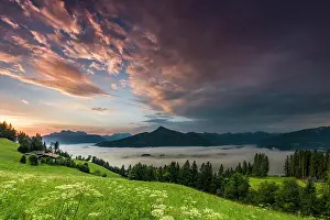 Mountai: Mountain meadow with mountain top with sea of fog