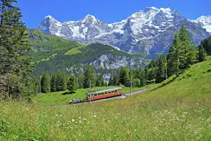 Cable: Mountain meadow and Murren railway with the triumvirate