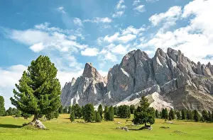 Odle: Mountain meadow near Gschnagenhardt Alm, in the
