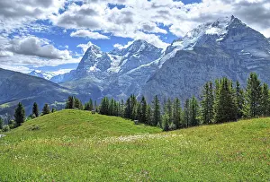 Bern: Mountain meadow in front of the triumvirate of the