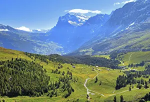 Bern: Mountain meadows on the Kleine Scheidegg with Wetterhorn