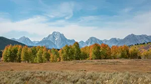 Moran: Mountain panorama of the Teton Range, summit of