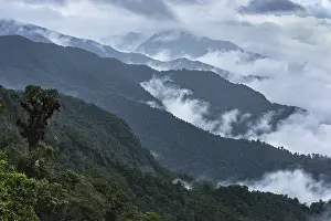 Department: mountain rainforest at the Andes with clouds, Putumayo