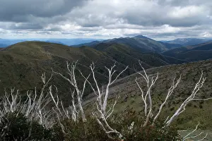 Windswept: Mountain Ranges around Mt. Hotham Alpine Resort