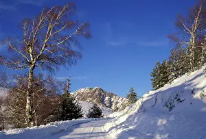 Mountain road in snow