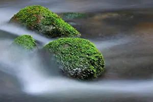 Course: Mountain stream in the Bavarian Forest National