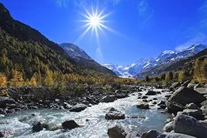 Glaciers: Mountain stream, larch forest, Piz Palic, 3905 m, Piz