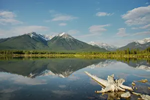 Vermillion: Mountains reflected in Vermillion Lakes