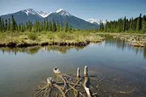 Vermillion: Mountains reflected in Vermillion Lakes