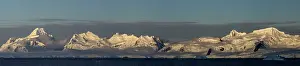 Neko: Mountains snow capped at dawn