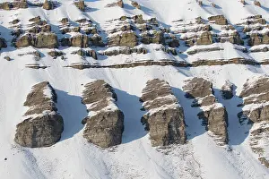 Coal: Mountains with structures of organic carbon and