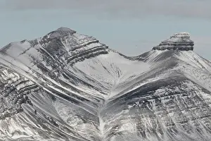 Coal: Mountains with structures of organic carbon and