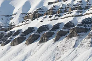 Coal: Mountains with structures of organic carbon and