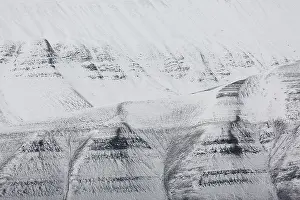 Coal: Mountains with structures of organic carbon and