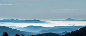 Forrest: Mountains - in winter mist