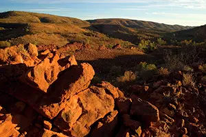 Macdonnell: Mountainscape - Bush and grass-covered hills and