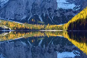 Bolzano: Mountainside with colorful larch trees reflecting