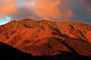 Bogong: Mt Bogong.at sunrise, sunset. Bogong Section, Alpine