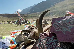 Mani: Mt Kailash Yak horn and mani stones Tibet