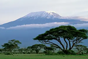 Tanzania: Mt Kilimanjaro in Tanzania