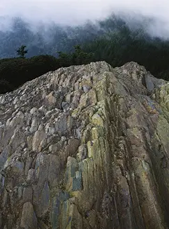 Tennessee: Mt. Le Conte, Tennessee