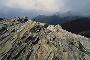 Tops: Mt. Le Conte, Tennessee