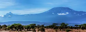 Amboselli: Mt. Meru (Small) and Mt. Kilmanjaro (Big) as seen