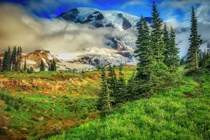 Volcano: Mt. Rainier within the national park