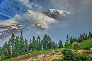 Volcano: Mt. Rainier within the national park