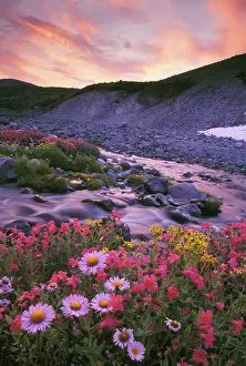 Gary: Mt. Rainier National Park, WA, USA. Mountain