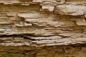 Petrology: Muav Limestone in the Grand Canyon, AZ