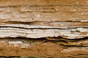 Beds: Muav Limestone in the Grand Canyon, AZ