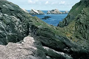 Flugga: Muckle Flugga Island - & cliffs
