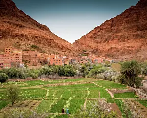 Defence: Mud brick houses and green oasis with the Atlas m