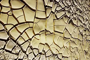 Crack: Mud Cracks