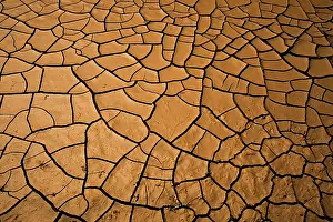 Cracks: Mud cracks, near San Pedro river, Arizona