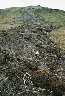 Waterlogged: Mud and Debris Slide