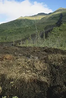 Waterlogged: Mud and Debris Slide