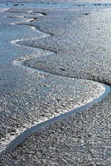 Rivulet: Mud Flats